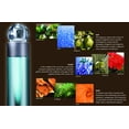 thumbnail image 5 of Set 4 Piezas 360° Perry Ellis Eau de Toilette Hombre, 5 of 5