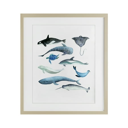 Stupell Industries Underwater Creatures in Blues Birch Framed Print Under Glass design by Evelyn Coleman 21 x 17 Stupell Industries Underwater Creatures in Blues Birch Framed Print Under Glass design by Evelyn Coleman 21 x 17