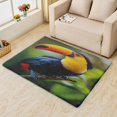 thumbnail image 2 of Toucan Area Rugs for Bedroom Living Room - 3x5 ft - Animal Carpet for Home Decor - Animal Patterned Decorative Indoor Small Rug - Washable & Soft & Non Slip & Low Pile (ZL&044), 2 of 6