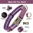 thumbnail image 3 of Didog Personalized Nylon Dog Collar Engraved Brass Buckle with Name and Phone S M L, 3 of 8