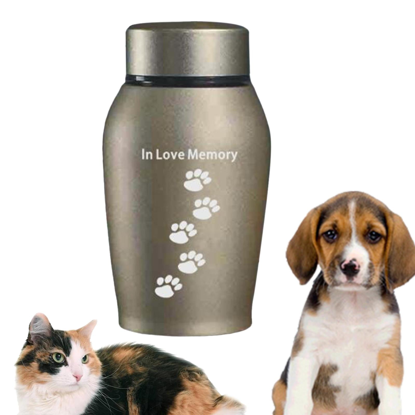 2x Stainless Steel Cremation Memorial Urn Memorable Organizer Storage Funeral Pets Supplies Casket Urn Box Pet Urns for Dogs Ash Small Animal Aureate Blue