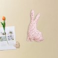 thumbnail image 5 of Biezeib Easter Doll, Cute Soft Bunny Plush Throw Pillow Stuffed Toy Gift for Child Adults, 5 of 5