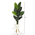 thumbnail image 3 of Nearly Natural 6ft. Travelers Palm Artificial Tree in White Planter with Stand, 3 of 6