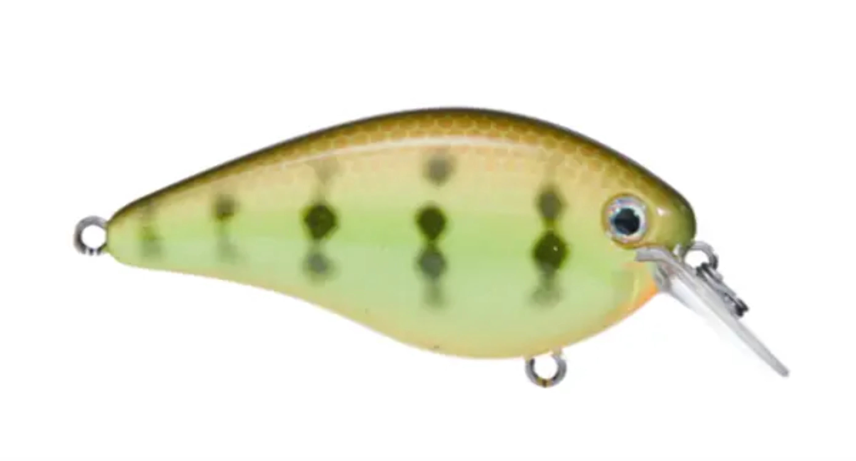 KVD 1.5 Hard Knock Gizzard Shad