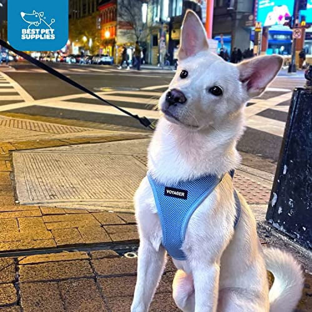 Voyager Step-in Air Dog Harness - All Weather Mesh Step in Vest Harness for Small and Medium Dogs and Cats by Best Pet Supplies - Harness (Baby Blue), L (Chest: 18-20.5")