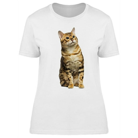 Beautiful Orange Bengal Breed T-Shirt Women -Image by Shutterstock, Female 3X-Large