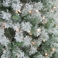 thumbnail image 3 of Northlight 6.5' Prelit Artificial Christmas Tree Flocked Winema Pine - Clear Lights, 3 of 4