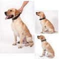thumbnail image 2 of Dog Collar Heavy Duty Webbing Adjustable Buckle Collars for Medium Large Dogs Army Green, 2 of 8