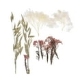 thumbnail image 3 of Dried Pressed Flowers Dried Flowers Leaves Bulk for DIY Candles, 3 of 10