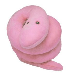 chlamydia plush toy