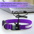 thumbnail image 5 of Collar para perros con luz azul, recargable por USB, con LED, 7 colores, resistente al agua, collar de seguridad con luz y correa ajustable para perros pequeños/medianos/grandes - S, 5 of 5