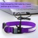 thumbnail image 5 of Collar para perros amarillo con luz, recargable por USB, 7 colores, resistente al agua, collar de seguridad con luz y correa ajustable para perros pequeños/medianos/grandes - S, 5 of 5