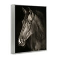 thumbnail image 3 of Stupell Industries Strong Stallion Horse Portrait Gray Framed Giclee Art design by Marcus Prime, 20 x 16, 3 of 8