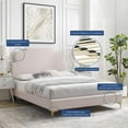 thumbnail image 4 of Platform Bed Frame, Queen Size, Velvet, Pink, Modern Contemporary Urban Design, Bedroom Master Guest Suite, 4 of 10