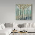 thumbnail image 3 of Trademark Fine Art 'Birches at Dawn' Canvas Art by Silvia Vassileva, 3 of 3