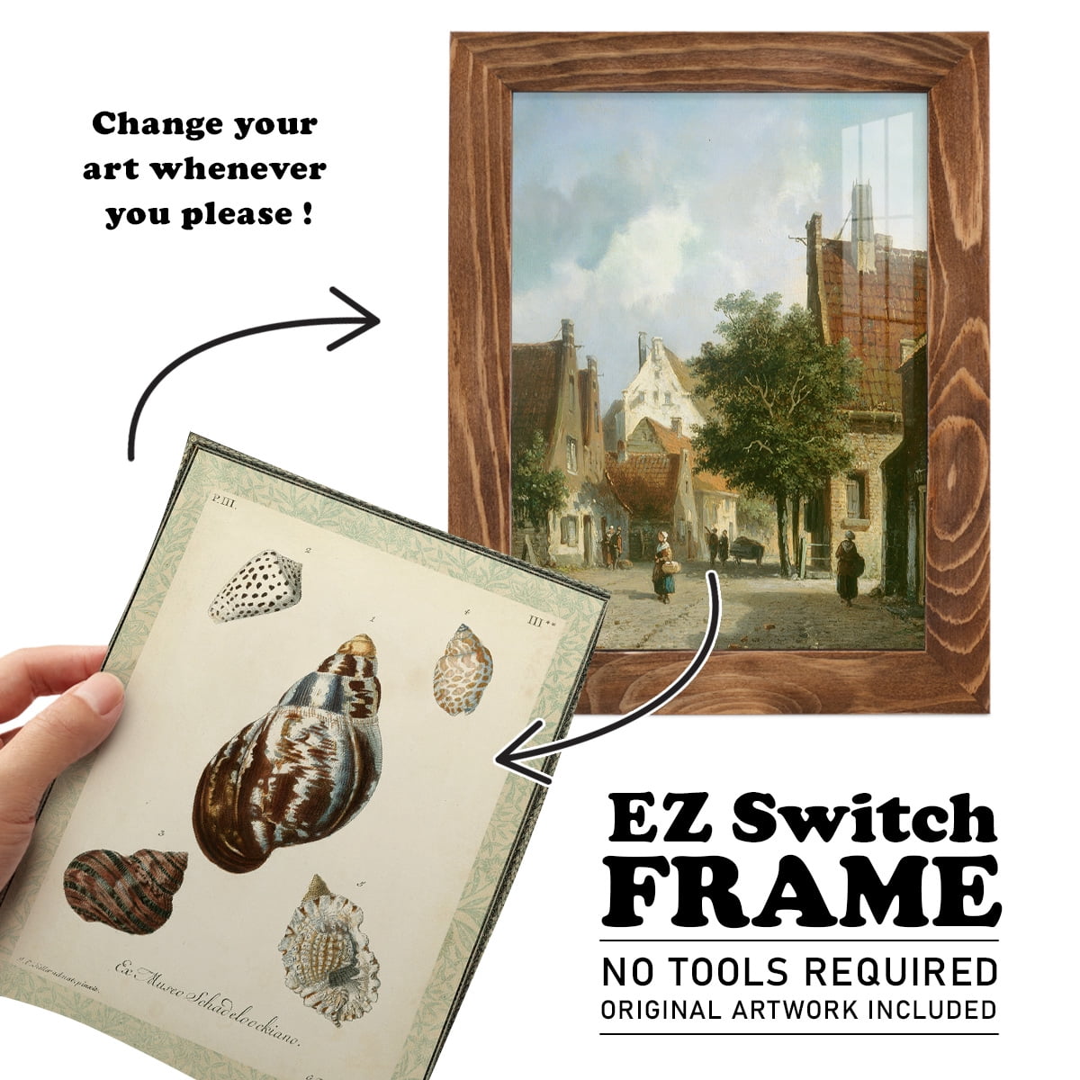 Bookplate Shells VII - Framed Print w/glass - Walnut