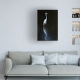thumbnail image 2 of Trademark Fine Art David Drost Elegant Egret Ii Canvas Wall Art - 16x24, 2 of 5