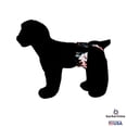 thumbnail image 5 of Barkertime Blossom Boogie Dog Diaper Pull-up, 5 of 6