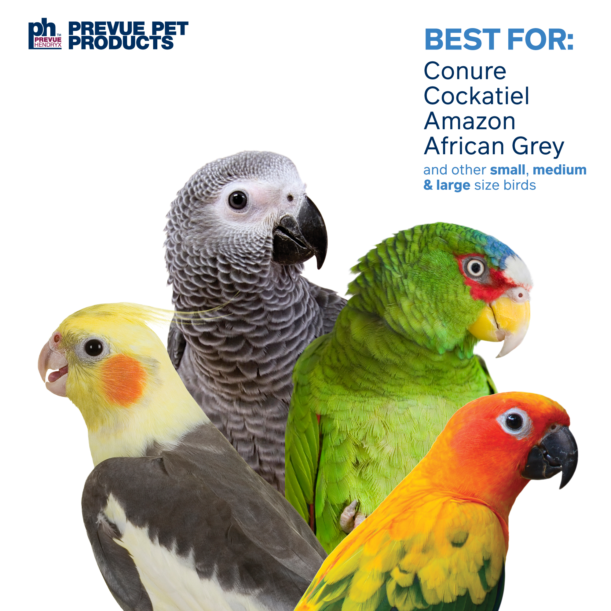 Prevue Pet Products Big Birds and Parrots 4 Piece Toy Bundle, Multicolor Wood and Mixed Materials