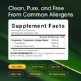 thumbnail image 2 of NatureBell L-Tryptophan Complex - 300 Capsules - Triple Strength 1,300mg L-Tryptophan with 200mg Free-Form L-Theanine - Calming Support Formula for Relaxation & Wellness - 100 Servings, 2 of 8