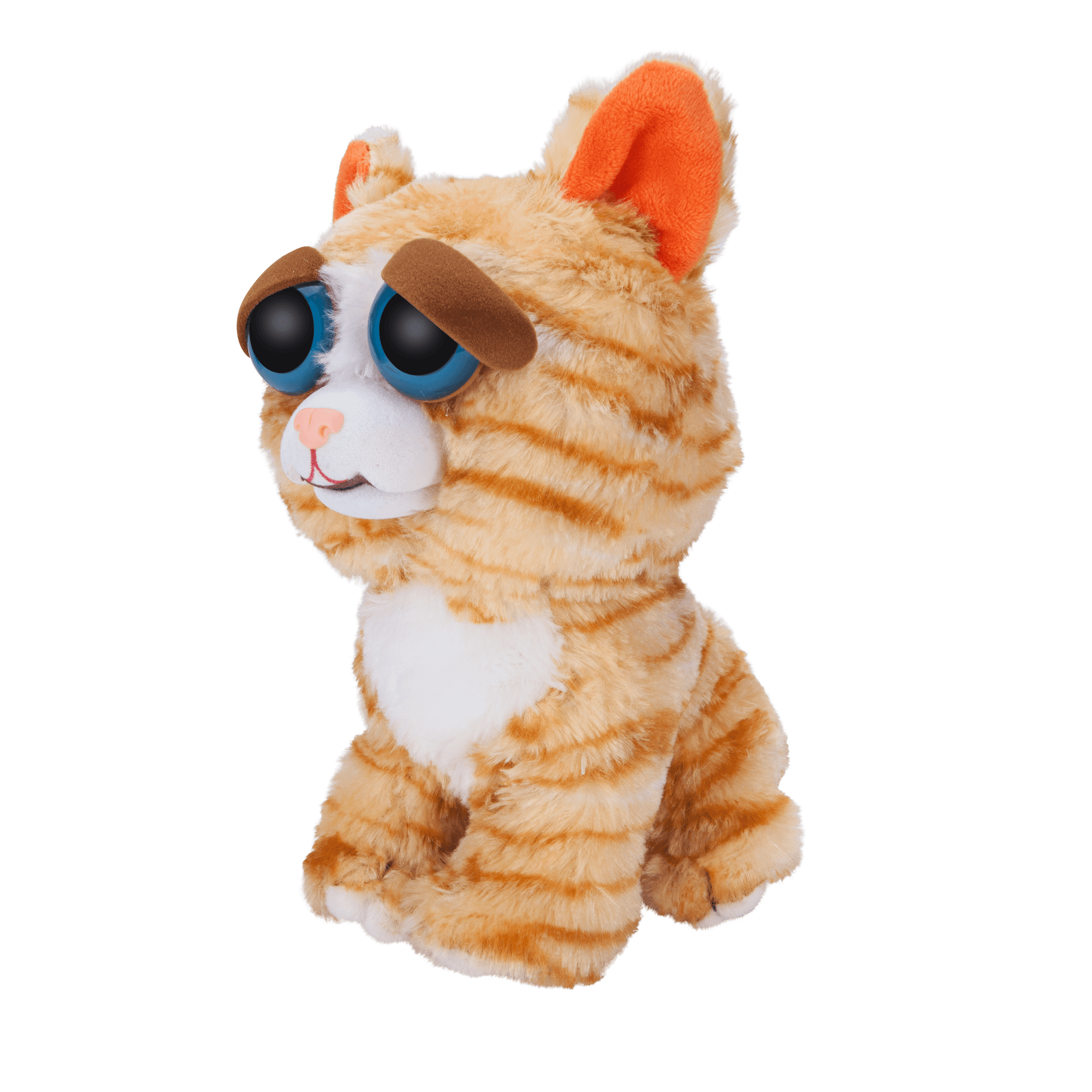feisty pets orange cat