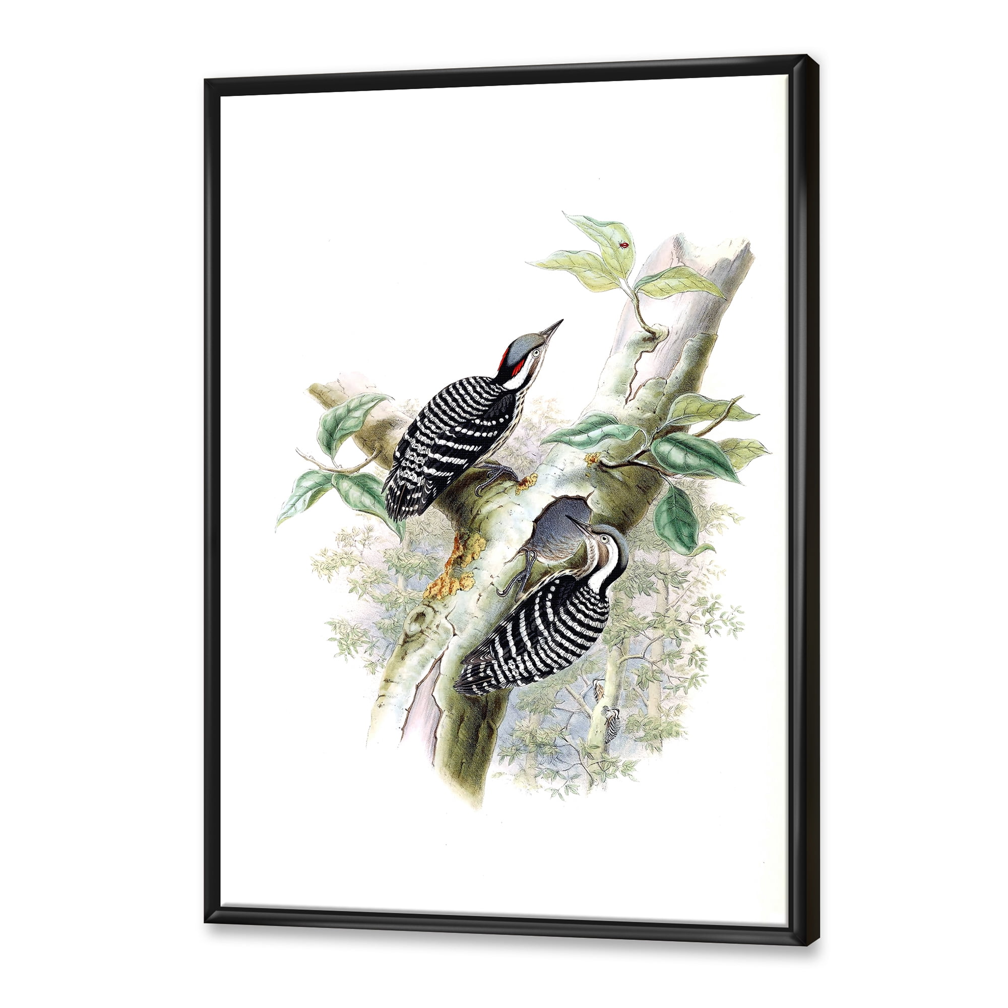 Ancient Birds In The Wild V 16 in x 32 in Framed Painting Canvas Art Print, by Designart
