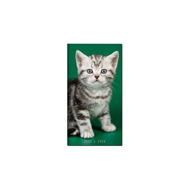 2023-2024 TF Publishing Kittens 3.5"" x 6.5"" Monthly Planner 2023-2024 TF Publishing Kittens 3.5"" x 6.5"" Monthly Planner