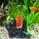 thumbnail image 4 of UPGRATOR Para Acuario Con Simulada Y De En Resina Multicolor, 4 of 7