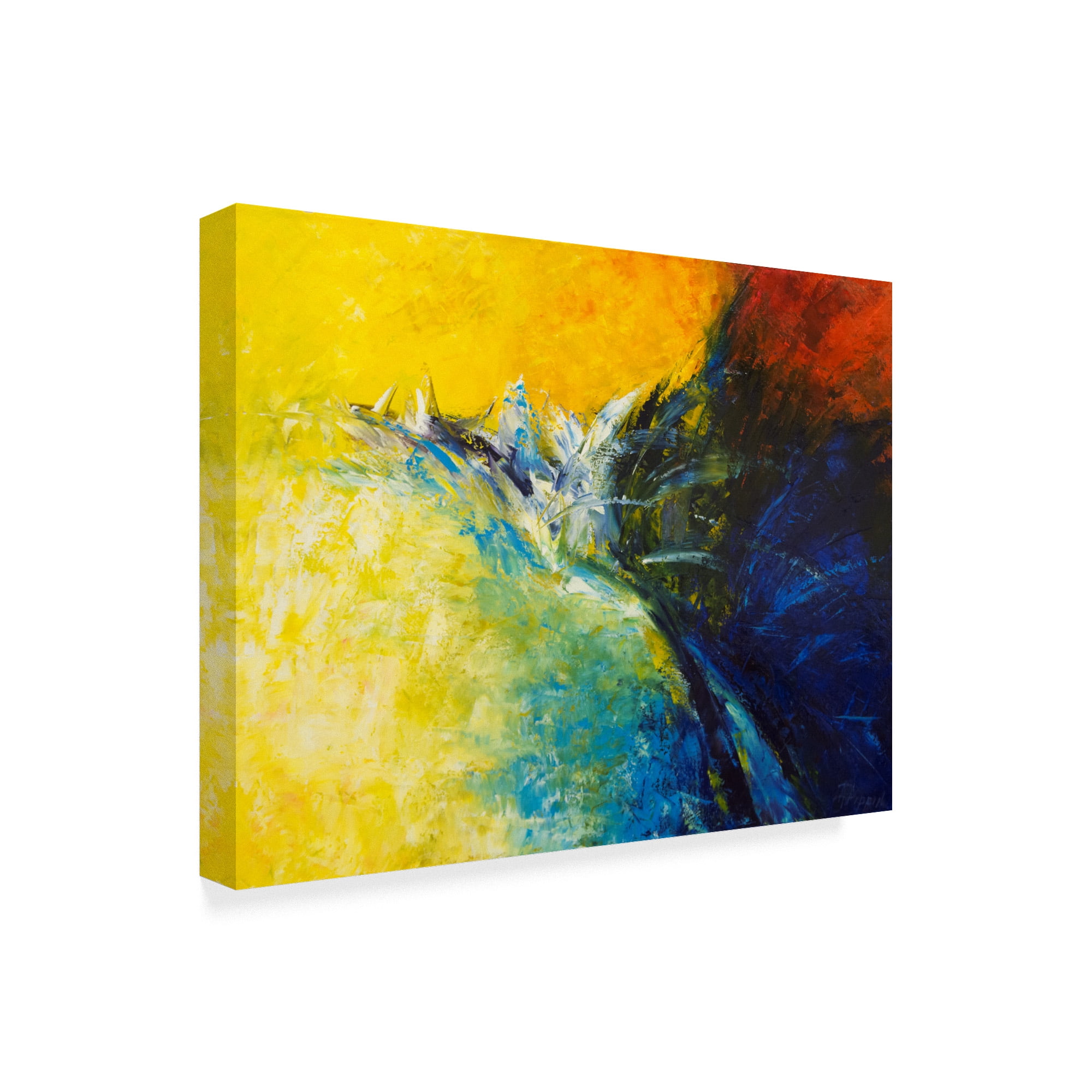 Trademark Fine Art 'In Flight' Canvas Art by Aleta Pippin