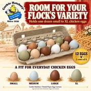 Cackle Hatchery Gray Paper Pulp 1 Dozen Egg Cartons, Vented (24 Pack)