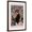 Brown Frame, variant on Art.com Cafes Torrefies Art Print, 12" x 18"