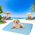 thumbnail image 1 of LSLJS Pet Ice Mat Summer Cool Ice Silk Sleeping Mat Sofa Cushion Dog Ice Mat Transparent Breathable Ice Silk Mat Universal for All Seasons Cooler In Summer, Seat Cushion, 1 of 8