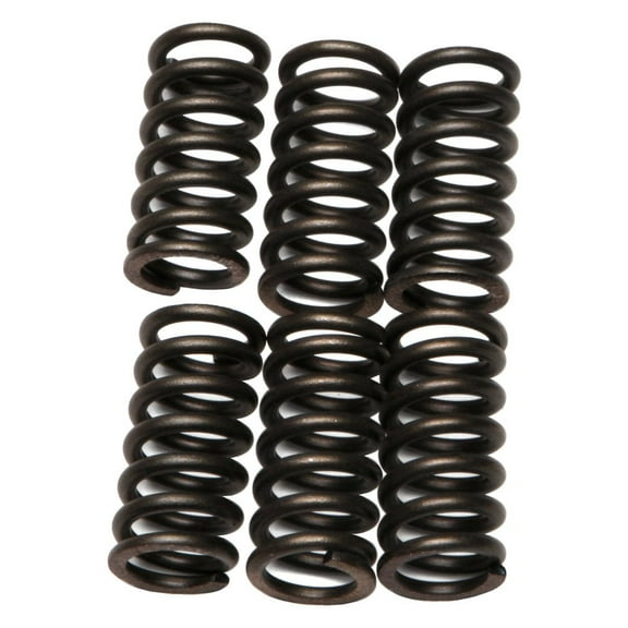 EBC CSK9 - CSK Series Heavy Duty Clutch Spring Kit