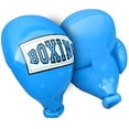 thumbnail image 1 of Guantes de boxeo de mega inflables inflables de Banzai Kids, azul rojo Banzai BANZAI, 1 of 2