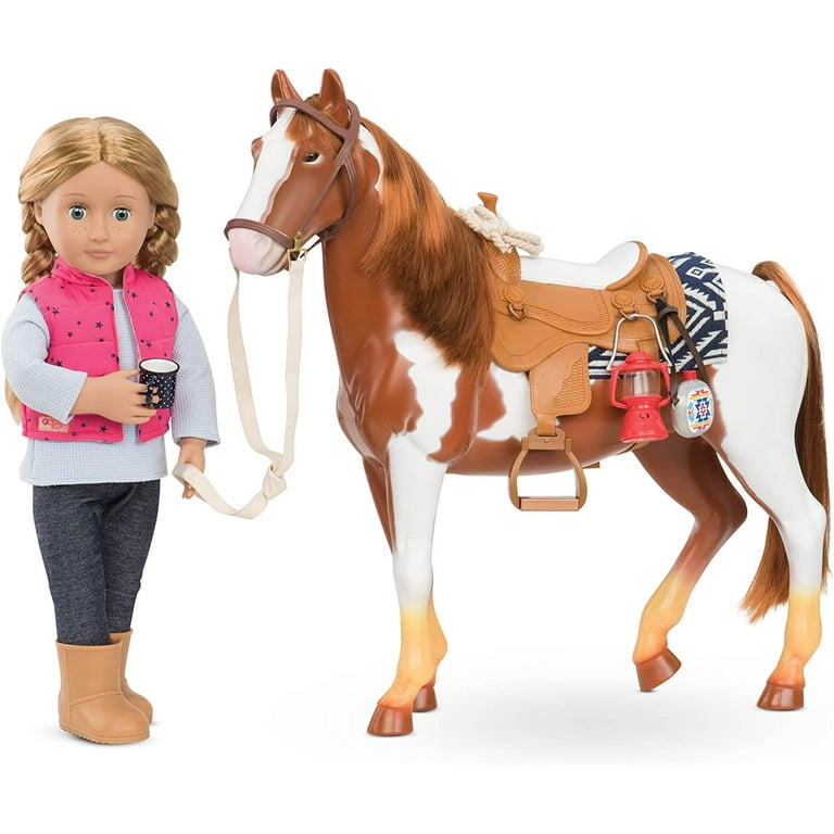 Our generation sale pinto horse