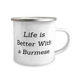 thumbnail image 2 of Joke Burmese Cat 12oz Camper Mug, Life is Better With a Burmese, Gag Gifts for Cat Lovers, Christmas Gifts, 2 of 2