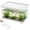 White, variant on Austok PC Rectangular Fish Tank Aquarium for Fish Reptile Succulent Flower Centerpiece Shatterproof with Clear Clarity for Home Office Desktop Decor