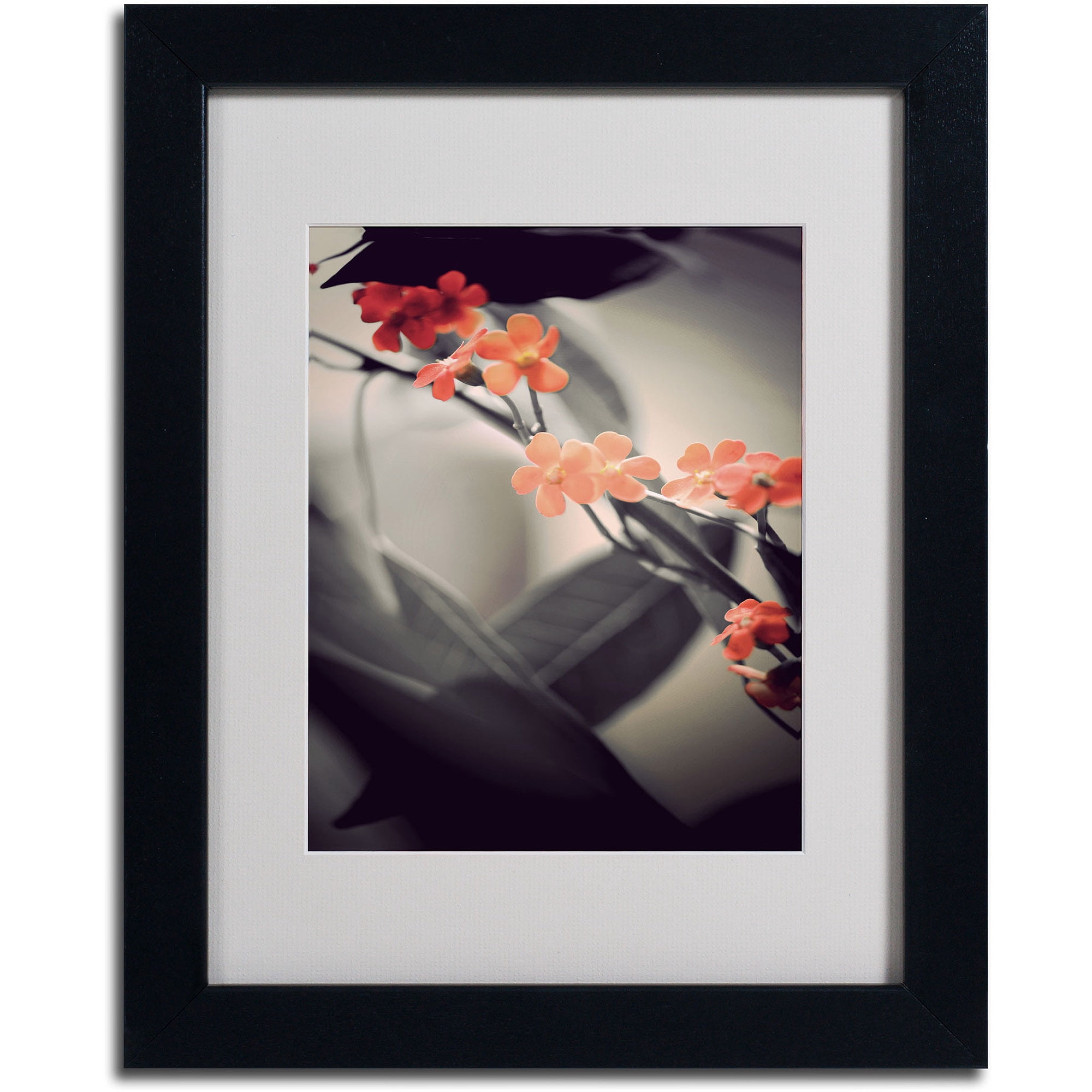 Trademark Fine Art "Soft Grey 1" Canvas Art by Philippe Sainte-Laudy, Black Frame