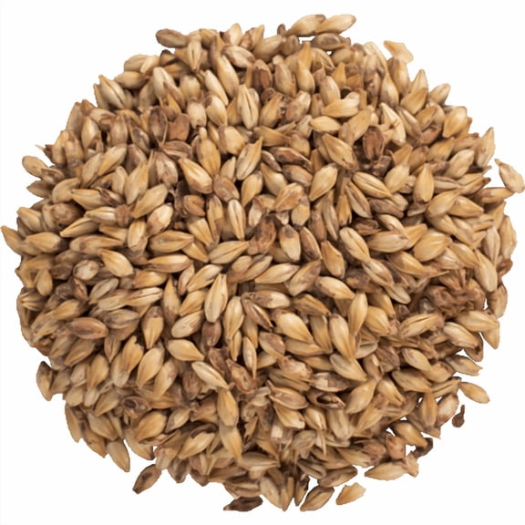 Amber Malt for Brewing – Specialty Malted Barley for Beer Making, Home Brewing, Mash Ingredients & Fermentation Recipes - 1 lb - CRUSHED (Pre-Milled)