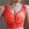 thumbnail image 2 of Paiwinds Women's Wirefree Lace Bra - Comfortable Full Coverage Bralette for Plus Size, Everyday Supportive Underwear, 2 of 8