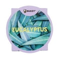 thumbnail image 5 of Buzzy Woven Grow Pot Eucalyptus House Plant Item 96516, 5 of 8