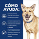 thumbnail image 2 of Hill's Canino I/D 0.4 Kg 12 Unid X Caja blanco, 2 of 4