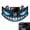 Blue C, variant on Devil Eyes Light for Car Windshield, Solar Powered Wireless LED Warning Lamp with Suction Cup Mount, Rechargeable Night Safety Light for SUV Truck Van RV