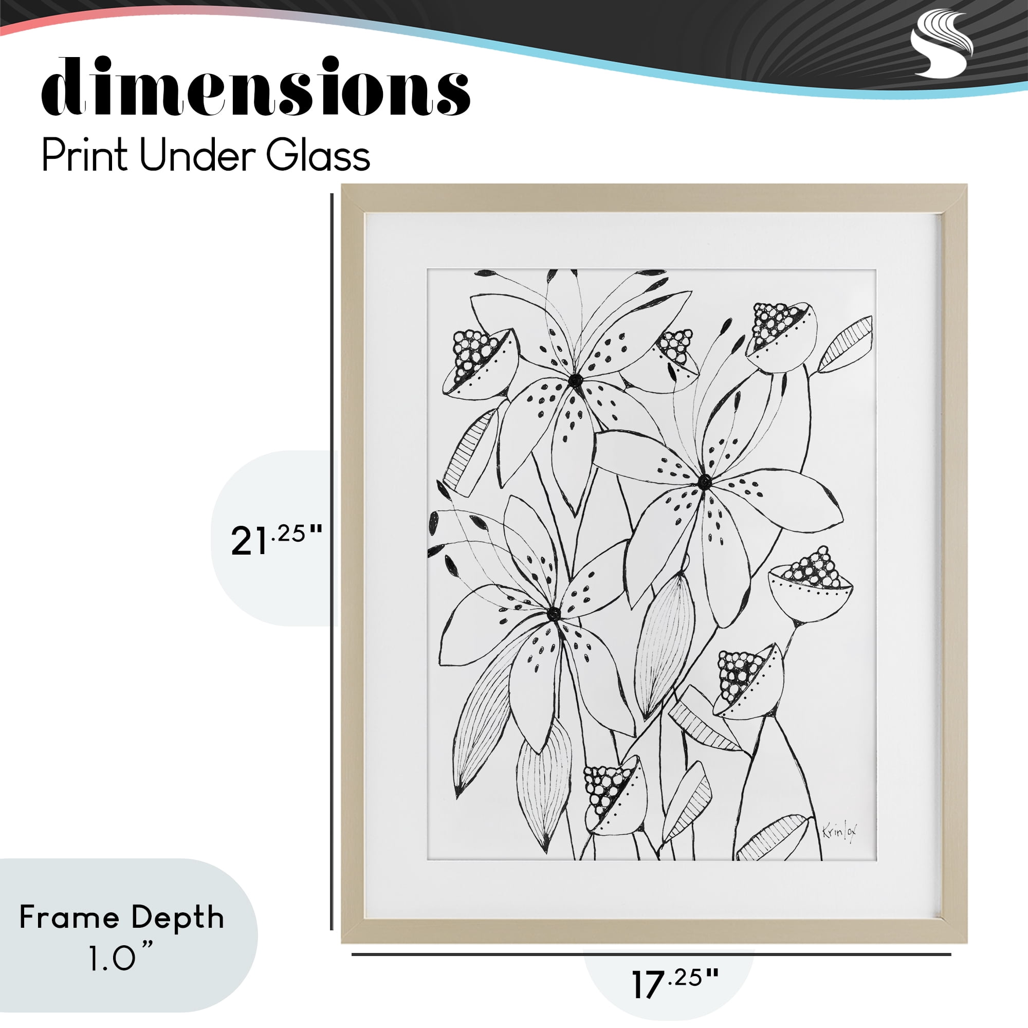 Stupell Industries Open Blooms Outline Birch Framed Print Under Glass, design by Krinlox