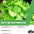 thumbnail image 2 of Harris Seeds - Lettuce Medimo Seeds Crisp And Sweet Variety Green - 1 Oz., 2 of 7