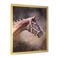 thumbnail image 2 of Designart 'Close Up Portrait Of Brown Horse' Farmhouse Framed Art Print, 2 of 4