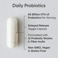 thumbnail image 3 of Sports Research® Daily Probiotics w/ Prebiotics 60 Billion CFU Vegan Gut & Digestive Health (30 Veggie Capsules), 3 of 8
