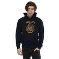 thumbnail image 1 of Harry Potter Mens Hogwarts Varsity Hoodie, 1 of 3
