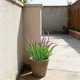 thumbnail image 4 of A Artificial Bostons Ferns UVs Resistants Fade Resistants Plastic Greenerys For Indoor Outdoor Hanging Pots Porch Patio Home Office Decor, 4 of 6