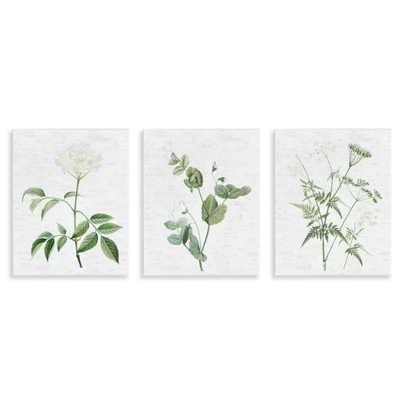 Stupell Industries Soft White Botanicals Plants & Flowers Painting Unframed Art Print Wall Art, 11 x 14, Set of 3